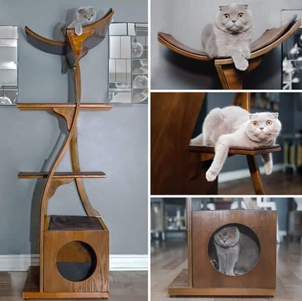 Furniture for your cat.