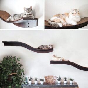 Lotus Branch Cat Shelf Espresso
