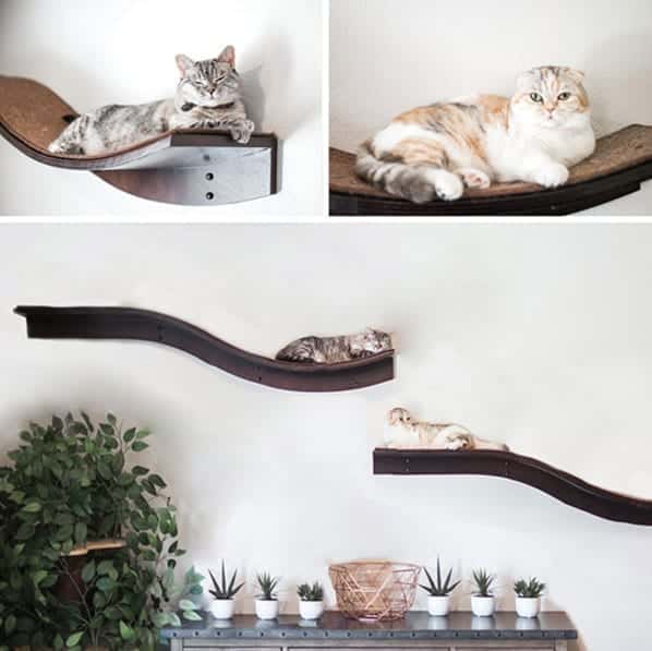 Two cats lounge on wall-mounted cat shelves above potted plants and a basket-filled table, shown from different angles.