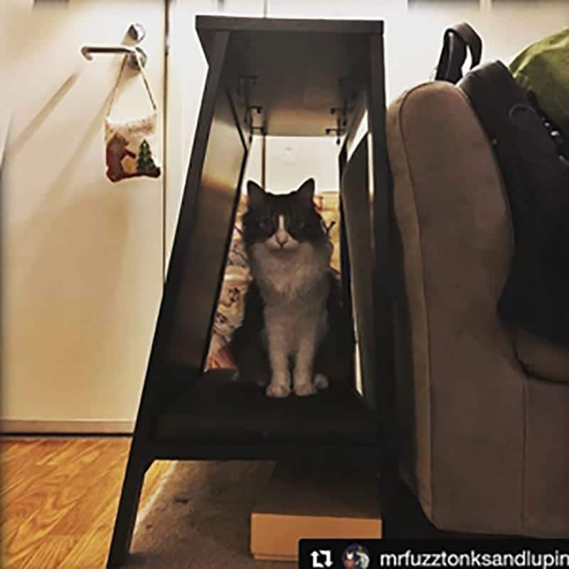 A-Frame Cat Bed Mahogany