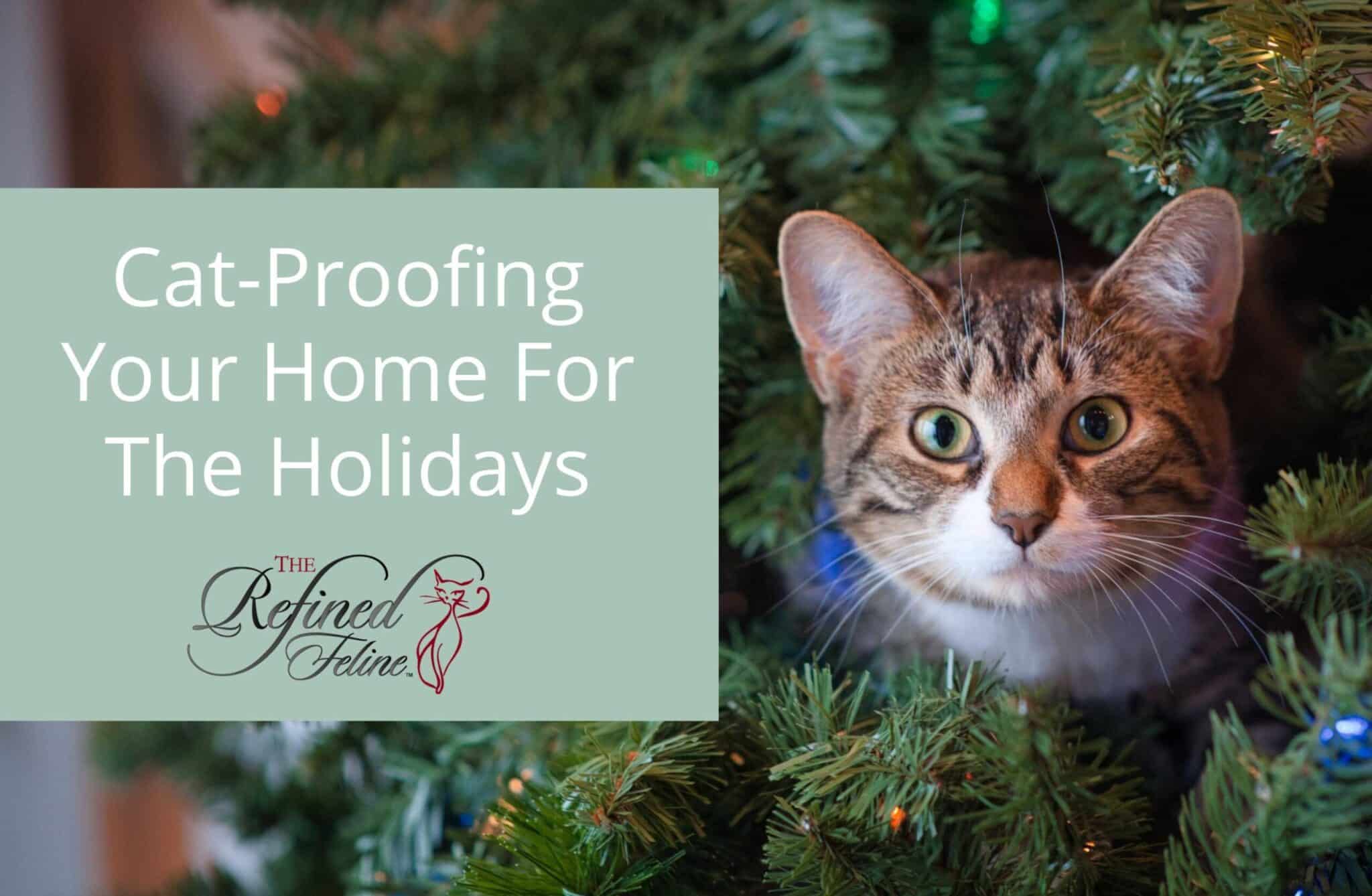 How To CatProof Your Home for the Holidays The Refined Feline
