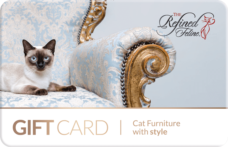 Gift card for cat furniture