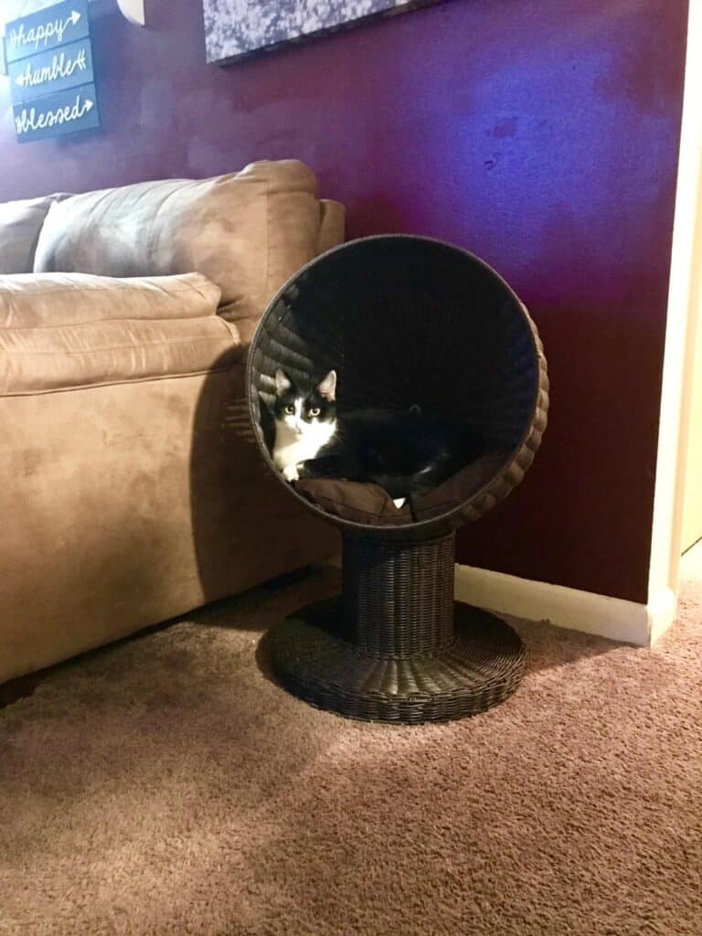 Image #1 from Sabrina