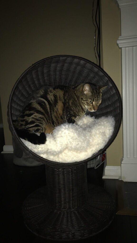 Image #1 from Nicole Rittmaier