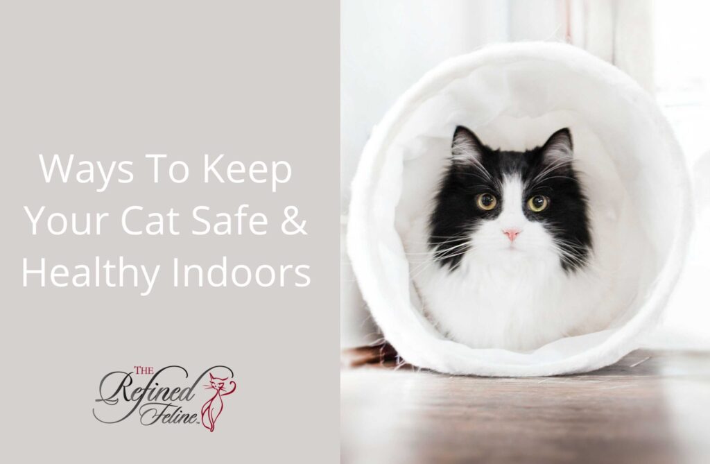 Black and white cat sitting in a white tunnel beside text: Keep Your Cat Safe And Healthy Indoors.