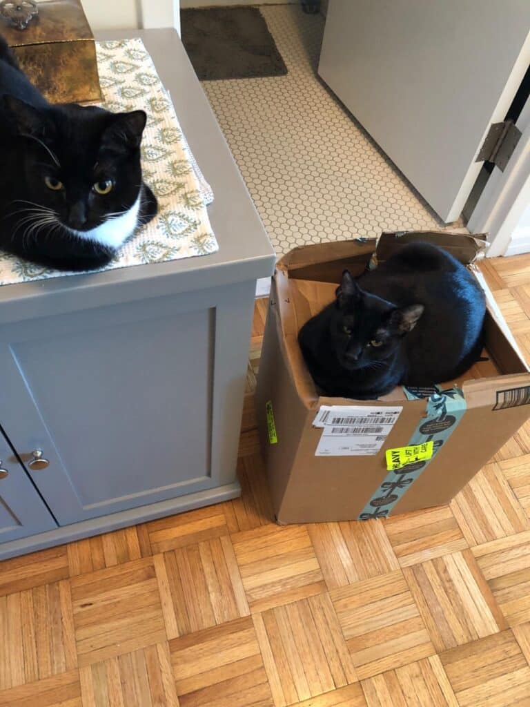 Image #1 from Tami C von Isakovics