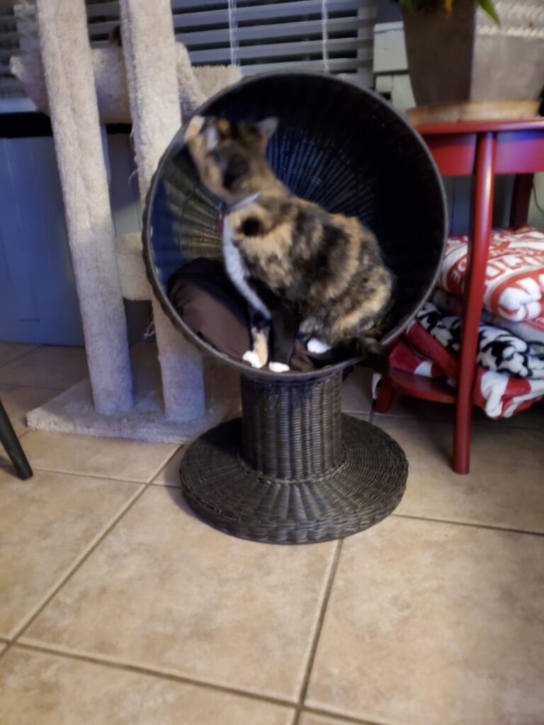 Image #1 from april medellin