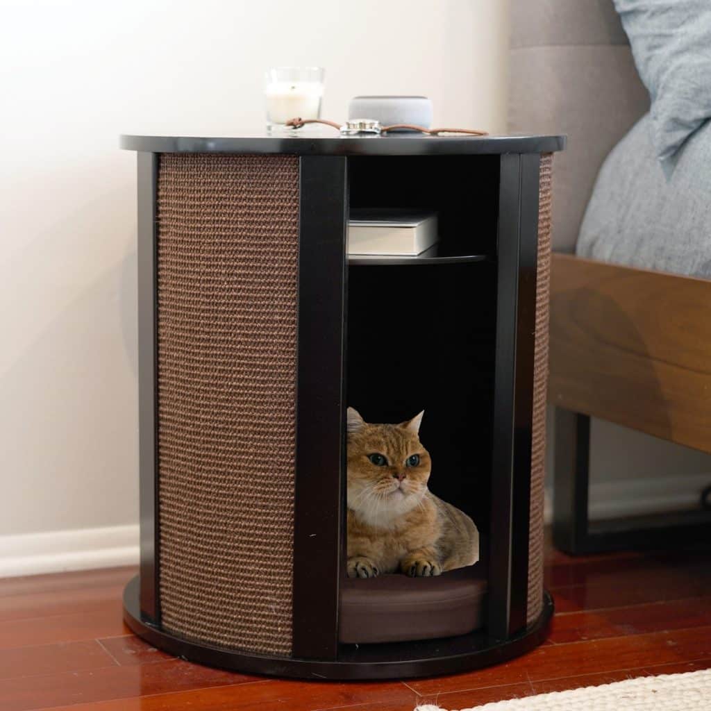 Purrrrfect End Table Espresso