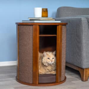 A fluffy orange cat lies inside the compartment of a wooden end table beside a gray couch, books and cup on top.