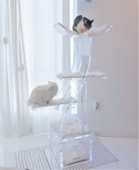 crystal clear lotus cat tower