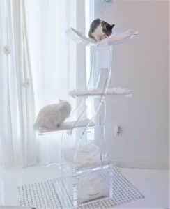 Deluxe cheap cat tree