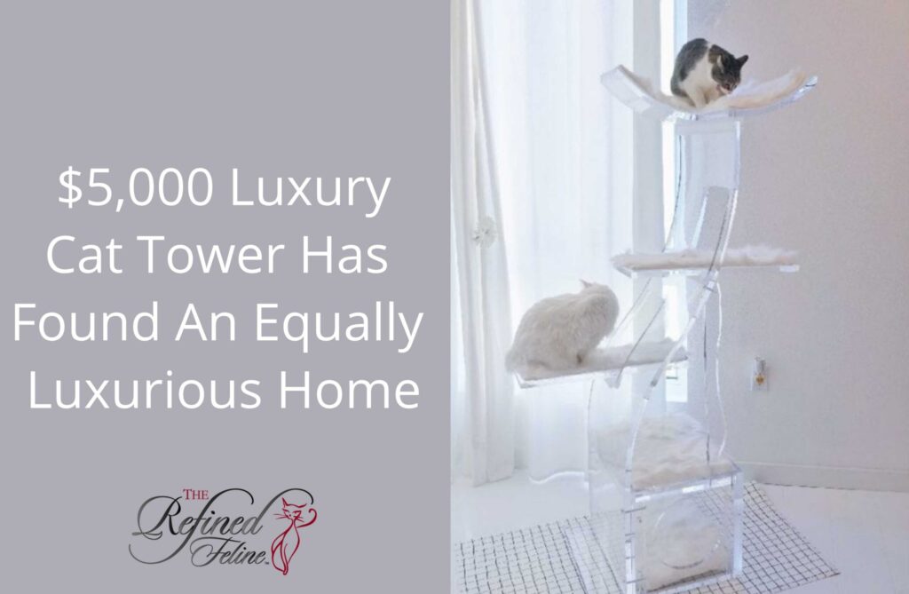 Luxury Cat Tower