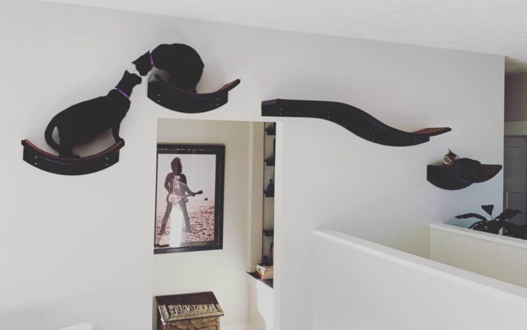 Two black cats walk on curved Lotus Branch Cat Shelves; a third cat rests while a framed photo hangs below.