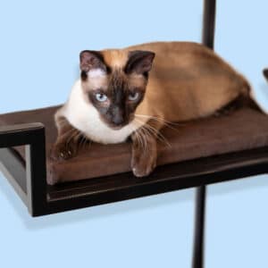 Cushions for Metropolitan cat condo