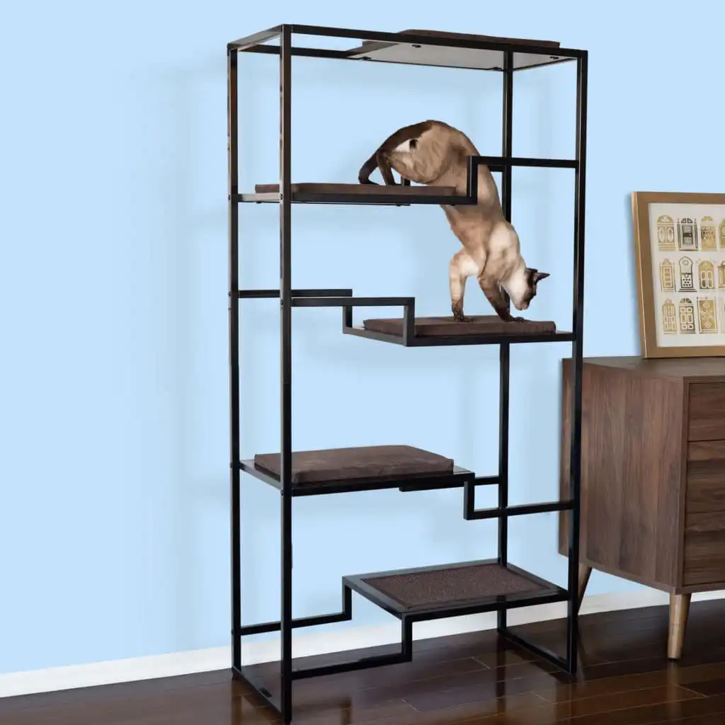 Siamese cat climbing a black cat condo with a brown cushion next to a wooden cabinet by a light blue wall.