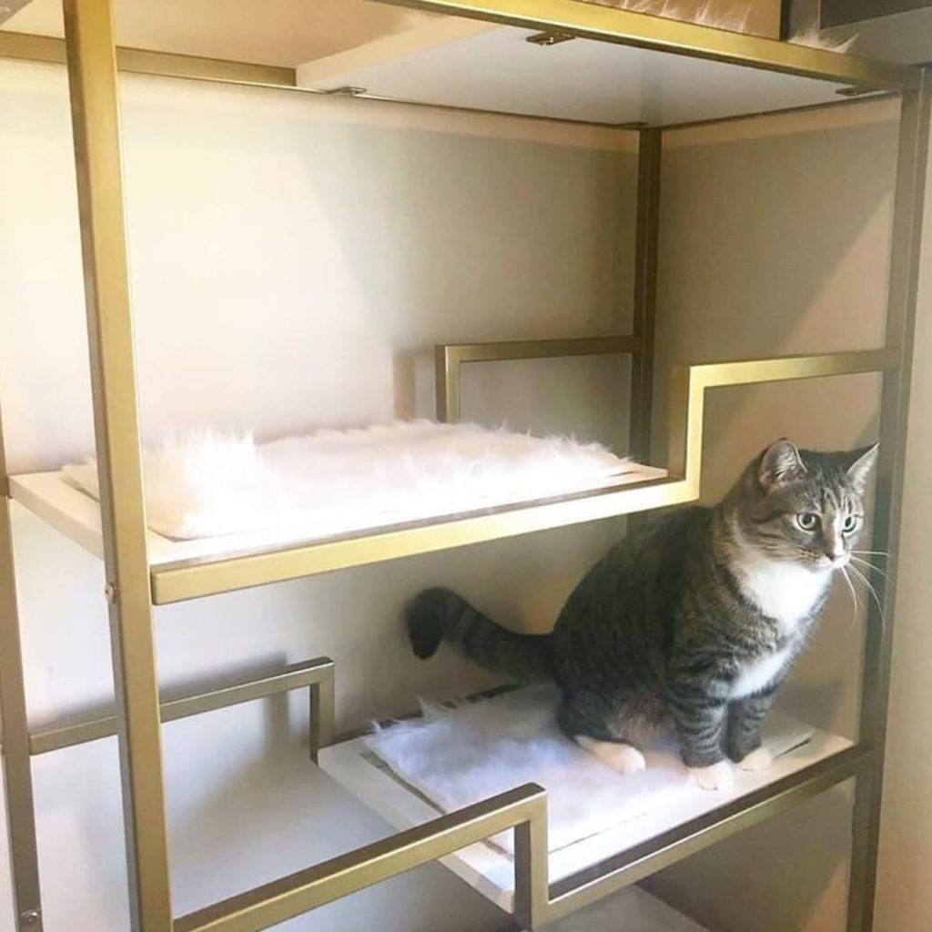 Metropolitan Cat Condo Gold