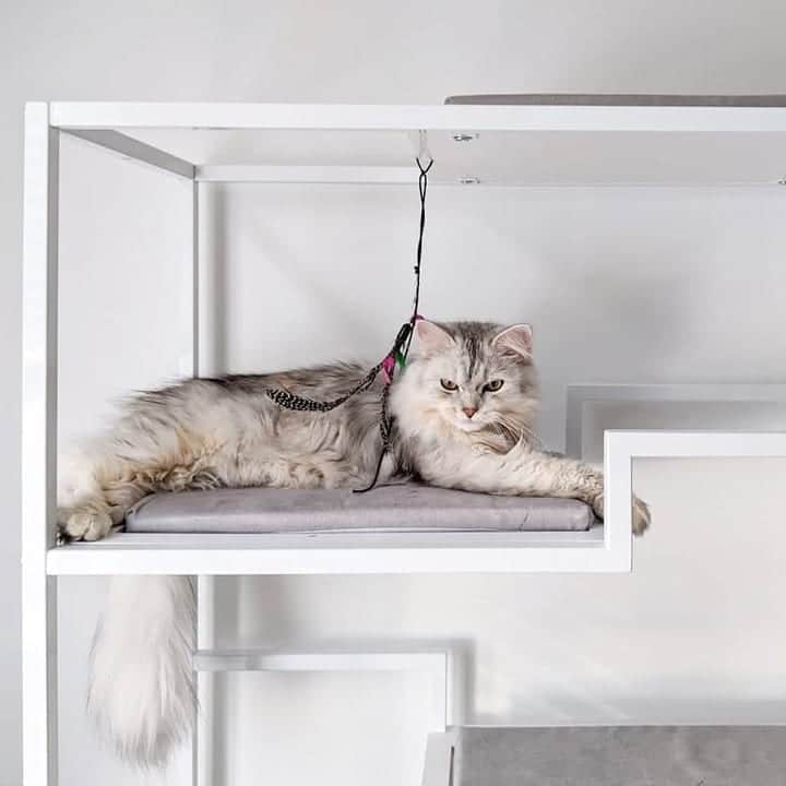 Metropolitan Cat Condo White