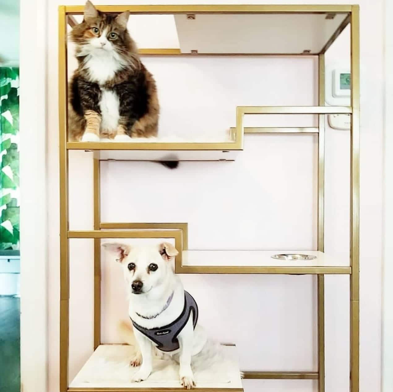 Metropolitan Cat Condo A Modern Cat Condo The Refined Feline