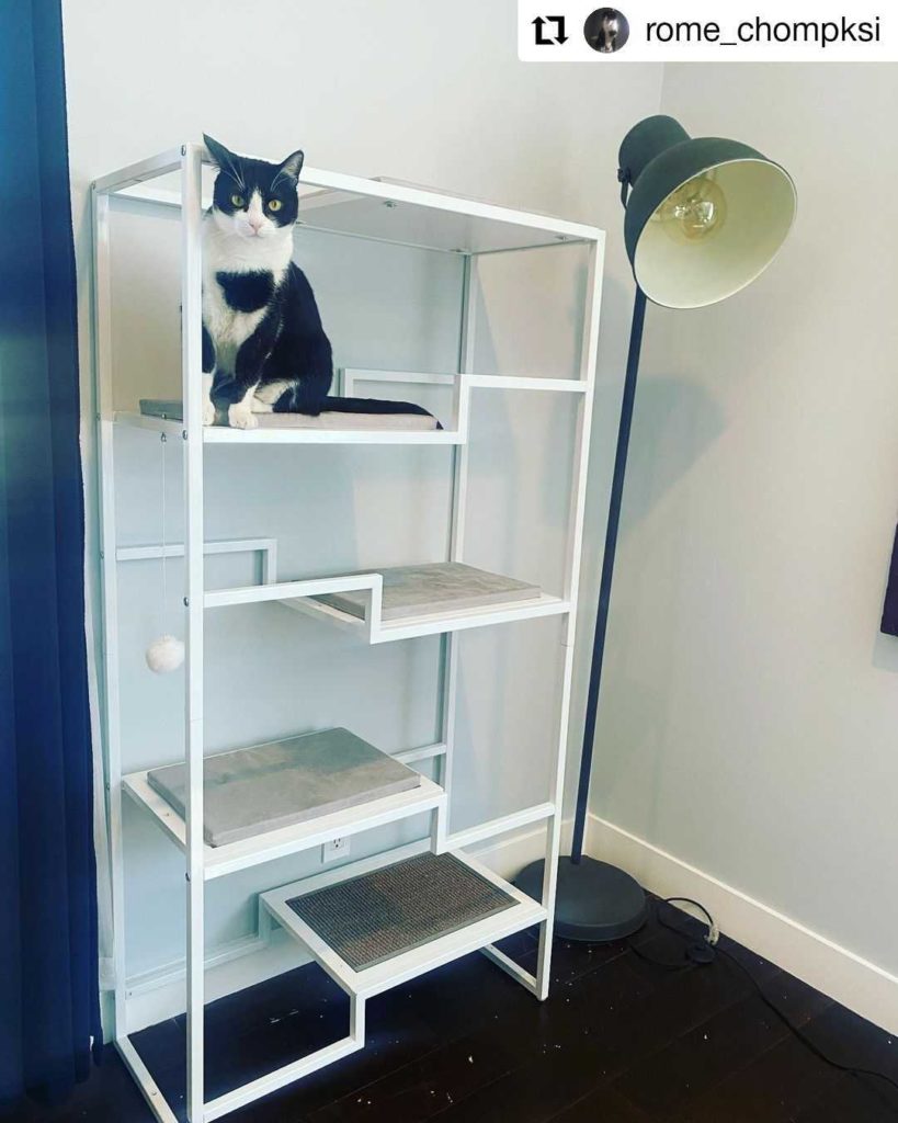 metropolitan cat condo