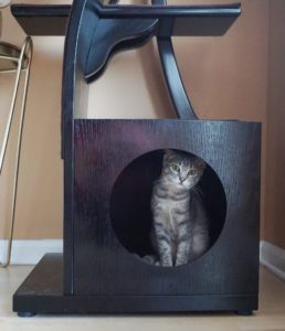 Gray tabby cat sits in a circular dark wood cubby, partially hidden in shadows on a soft cushion.
