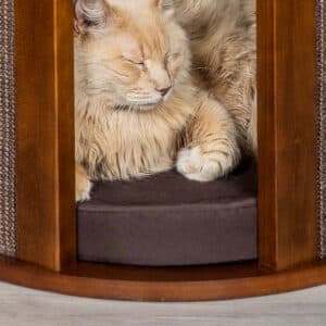 Purrtable Cat Cushion Brown