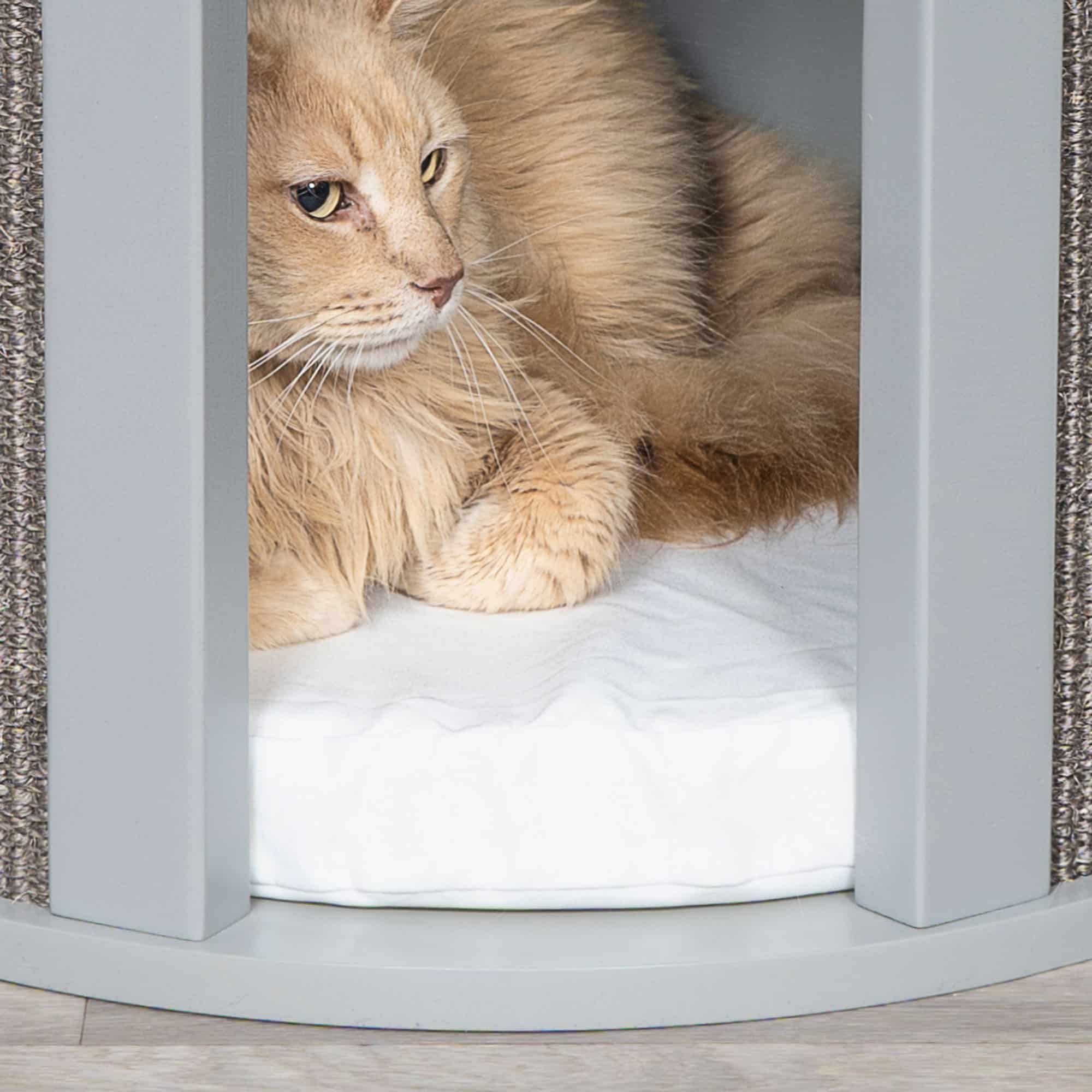 Cat house hot sale table