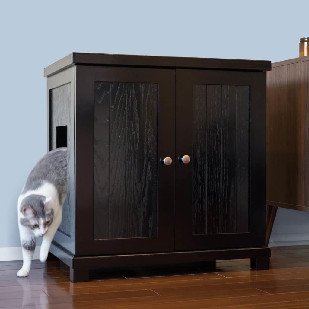 Gray and white cat steps out of black wooden litter box with side opening on hardwood floor by a light blue wall.