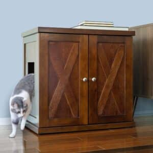 A gray and white cat steps out of a wooden cabinet with barn-style doors; books are stacked on top.