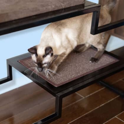 Siamese cat scratching a brown sisal mat on a black metal and wood cat condo set on a wooden floor.