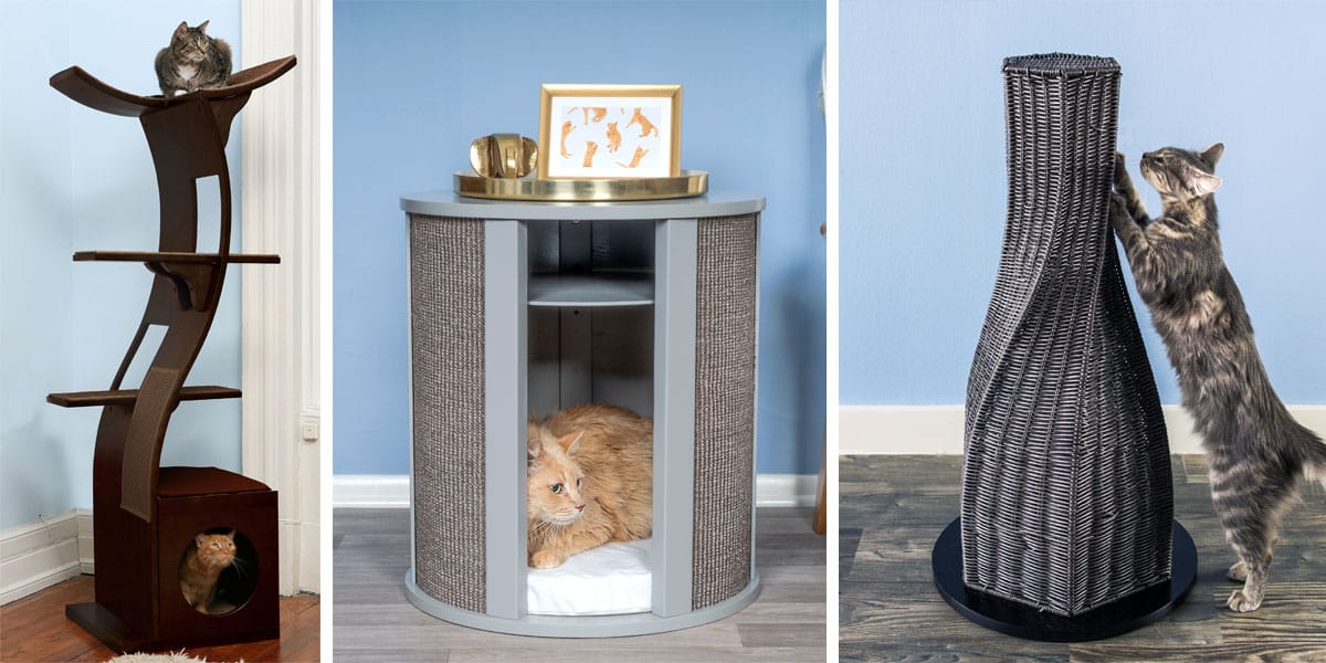 Blog Topics & Articles For Cat Lovers The Refined Feline