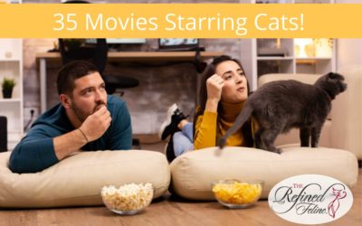 Grab the popcorn! Here’s 35 Movies Starring Cats!
