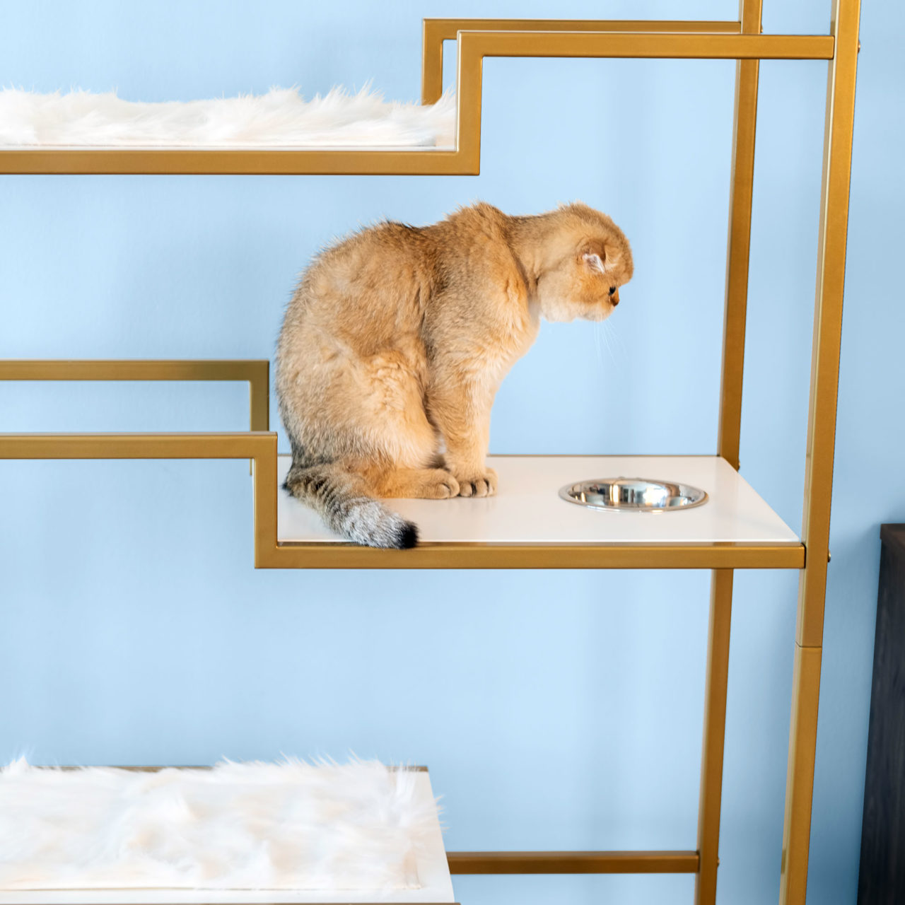 Metropolitan Cat Condo The Refined Feline 1