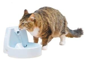 running water bowl