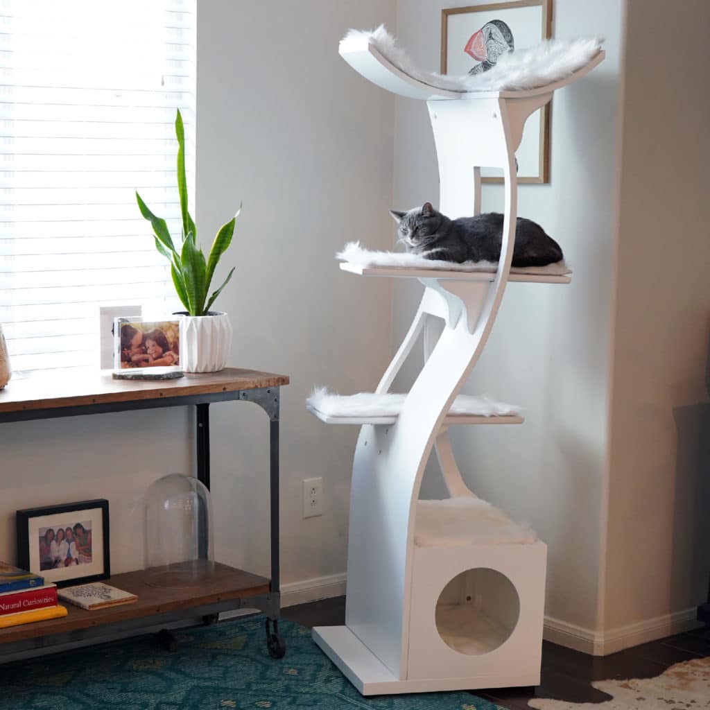 Gray cat lounges on the second tier of a four-level white cat tower in a corner near window, desk, plant, photos.