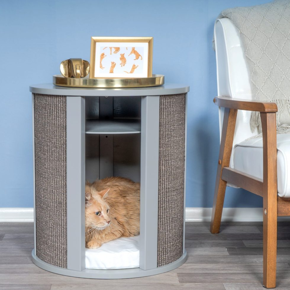 Orange cat lounging on a white cushion in a modern gray cat house beside a wooden chair with framed cat art and decor.