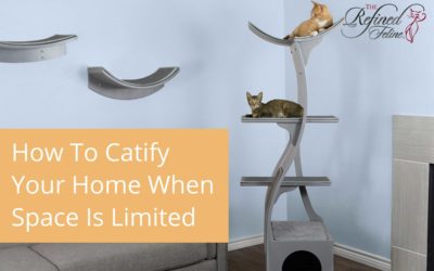 How to Catify Your Home When Space is Limited