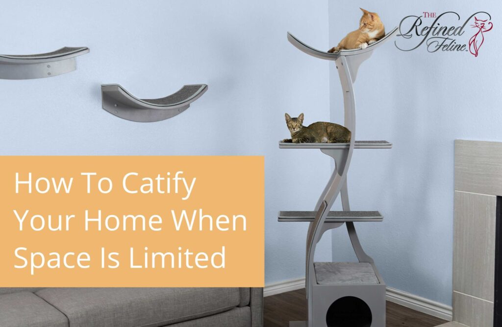 Two cats lounging on modern furniture in a warm living room. Text reads: Discover How To Catify Your Home—even in small spaces.