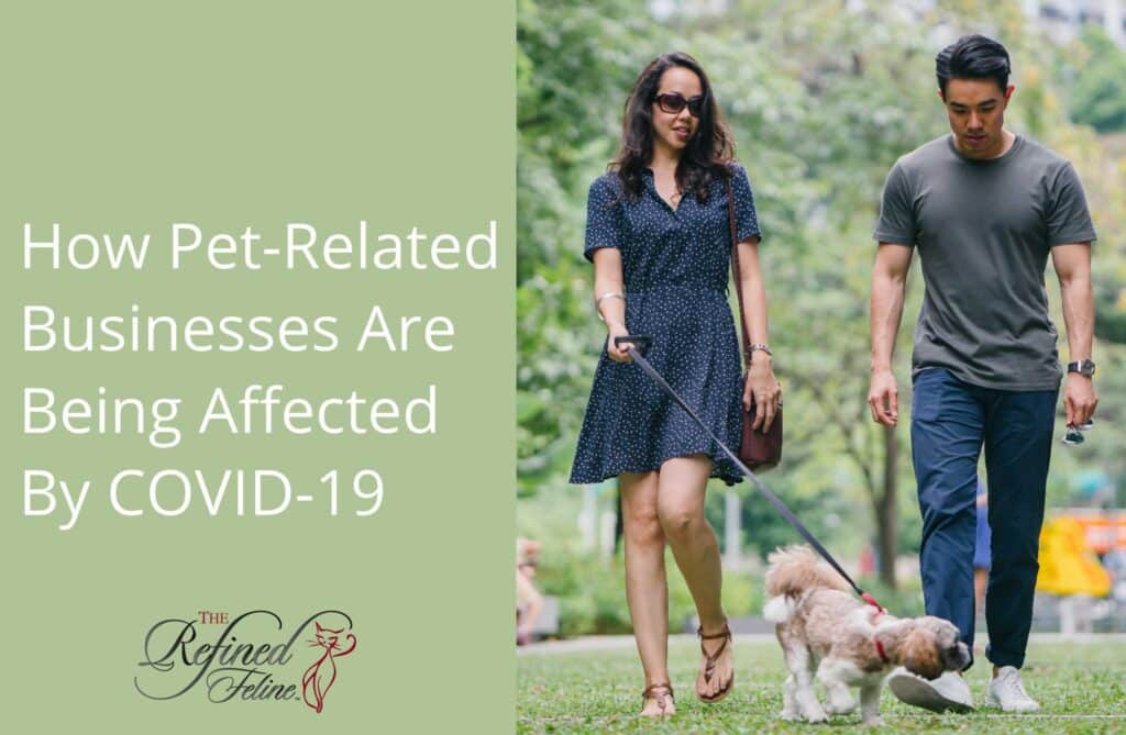 How Pet Related Bussinesses Are Being Affected By Covid 19