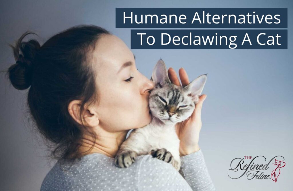 Woman kissing a gray cat with text "Humane Alternatives To Declawing A Cat" and The Refined Feline logo in the corner.