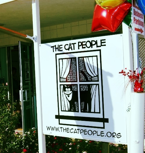 Cat Rescue Upgrades Their Space with The Refined Feline Cat Furniture - The Cat People