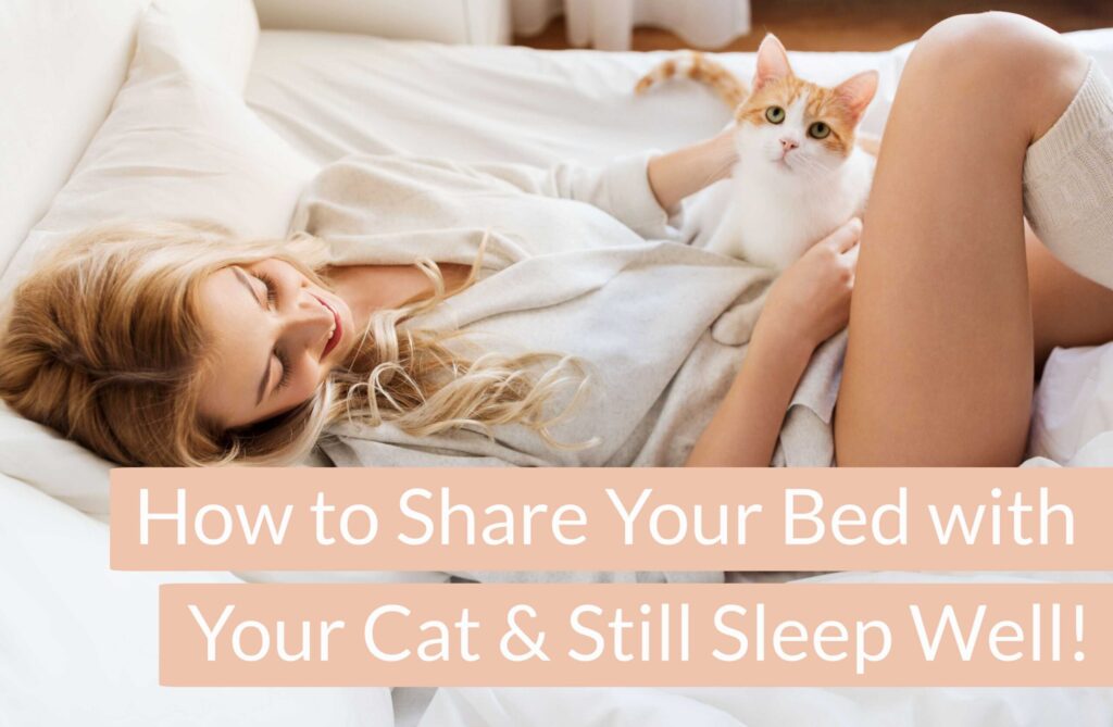 How to share your bed with your cat and still sleep well