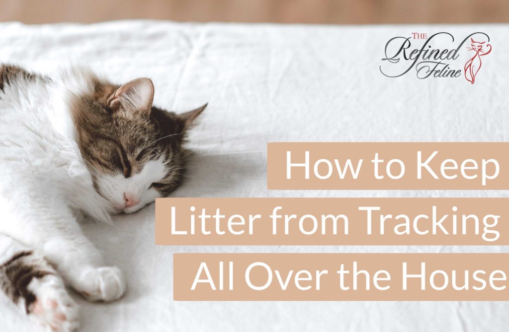 how to keep litter from tracking all over the house