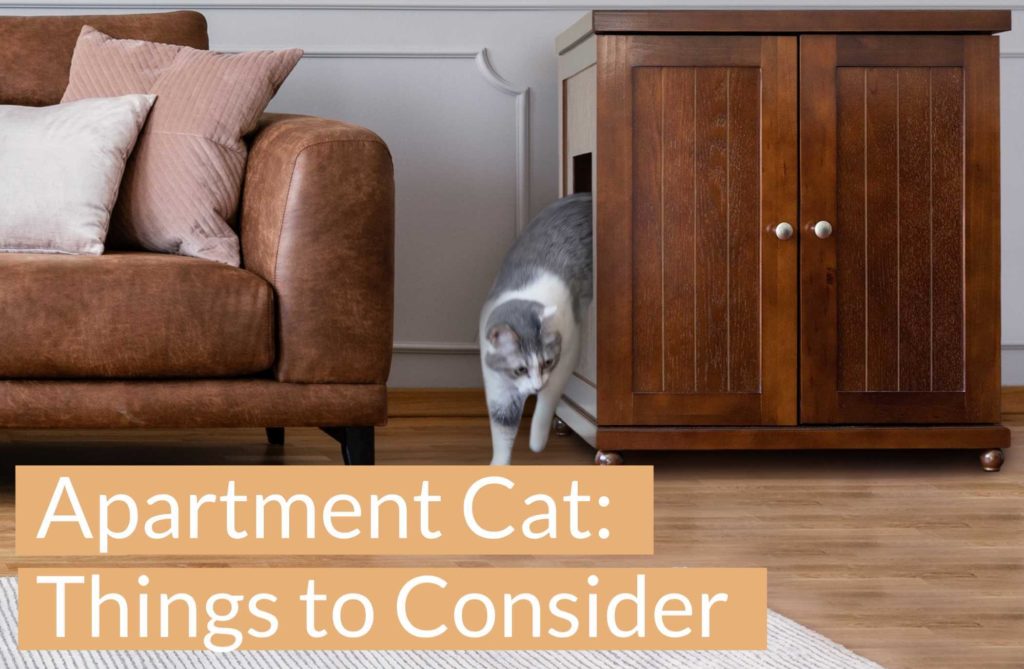 cat furniture for apartment cats