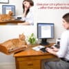 Kitt-in Box Desktop Cat Bed