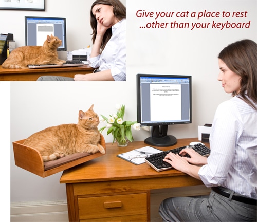 Desktop cat bed hotsell