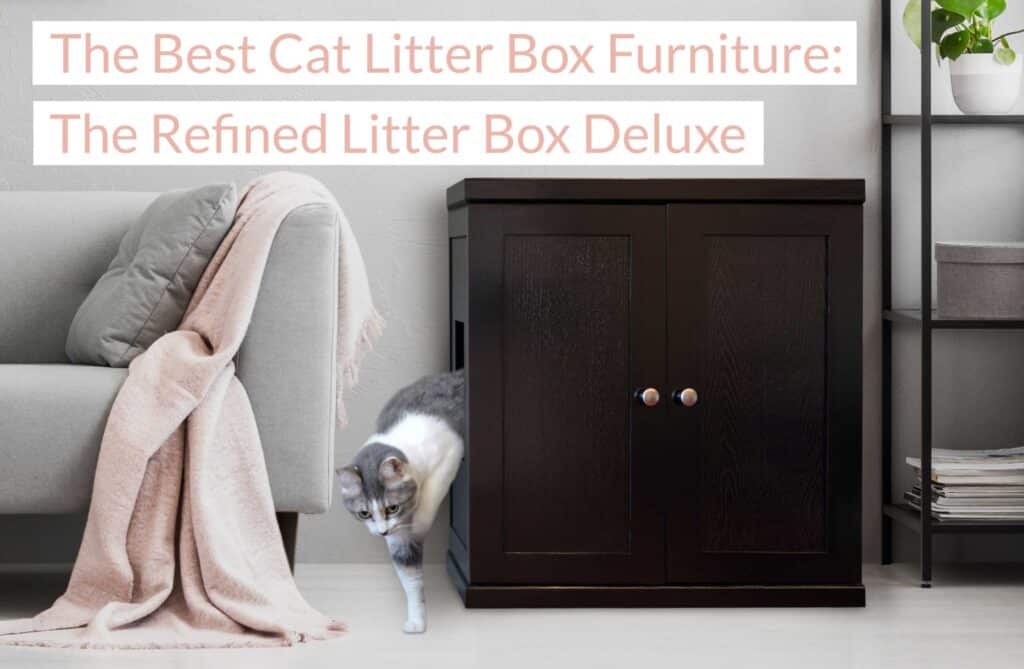 The Best Cat Litter Box Furniture