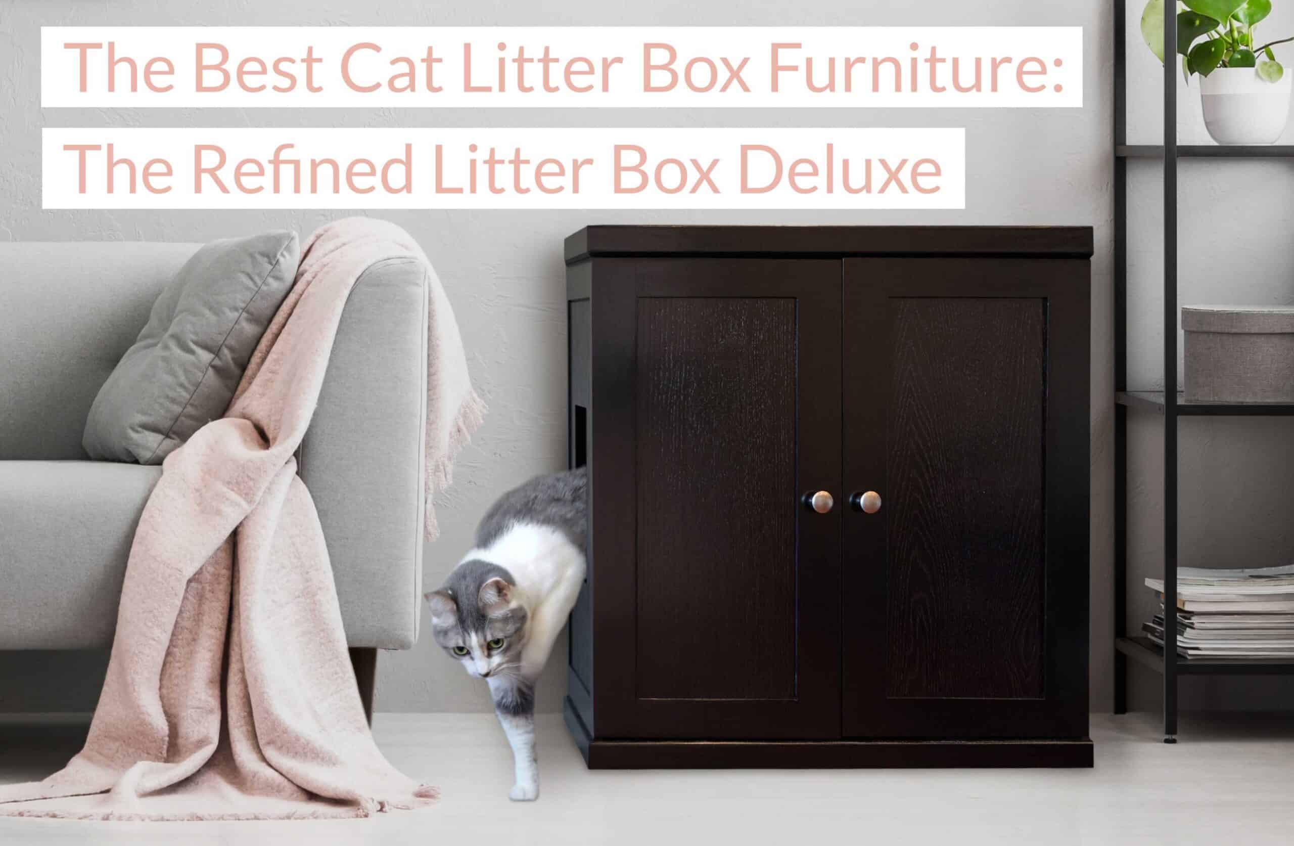 Best Cat Litter Box Furniture: A Review | The Refined Feline