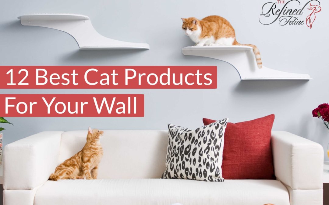 12 Best Cat Products for Your Wall- A Review