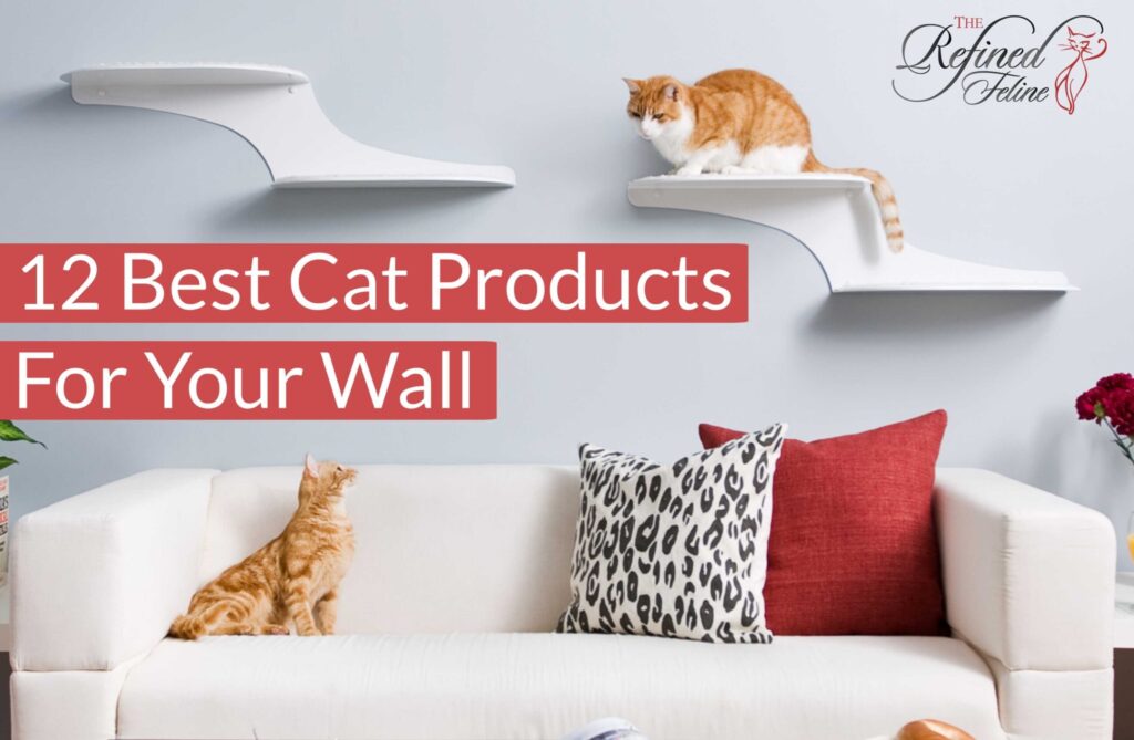 Two cats lounge on wall shelves above a white couch with red, black, and white pillows. Text reads: 12 Best Cat Products For Your Wall.
