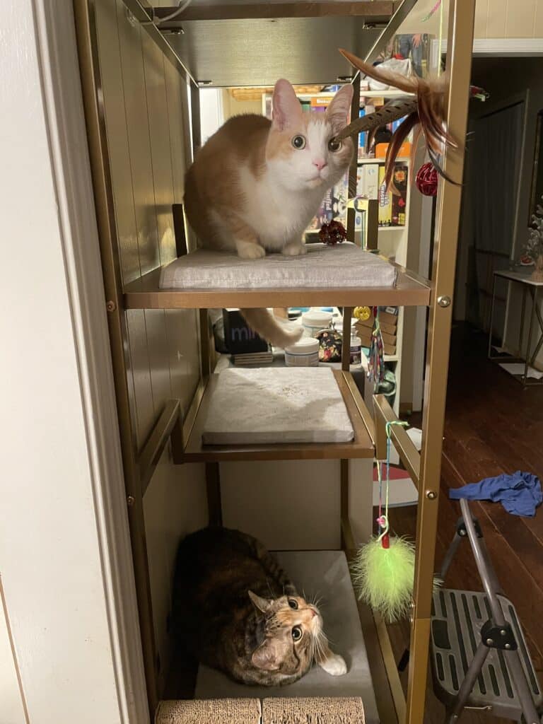 Image #1 from Kelsey Spickes